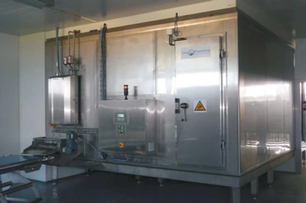 IQF (Individual Quick Freeze)